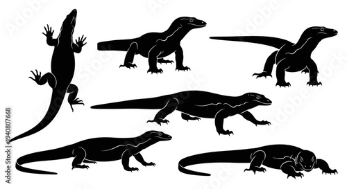Komodo Dragon Silhouettes Collection: Dynamic Poses of Large Lizard