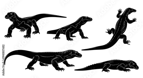 Komodo Dragon Silhouettes Collection: Dynamic Poses of Large Lizards