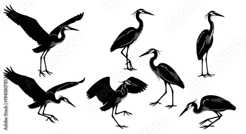 Heron Silhouettes Collection: Diverse Poses of Wading Birds in Flight and Standing