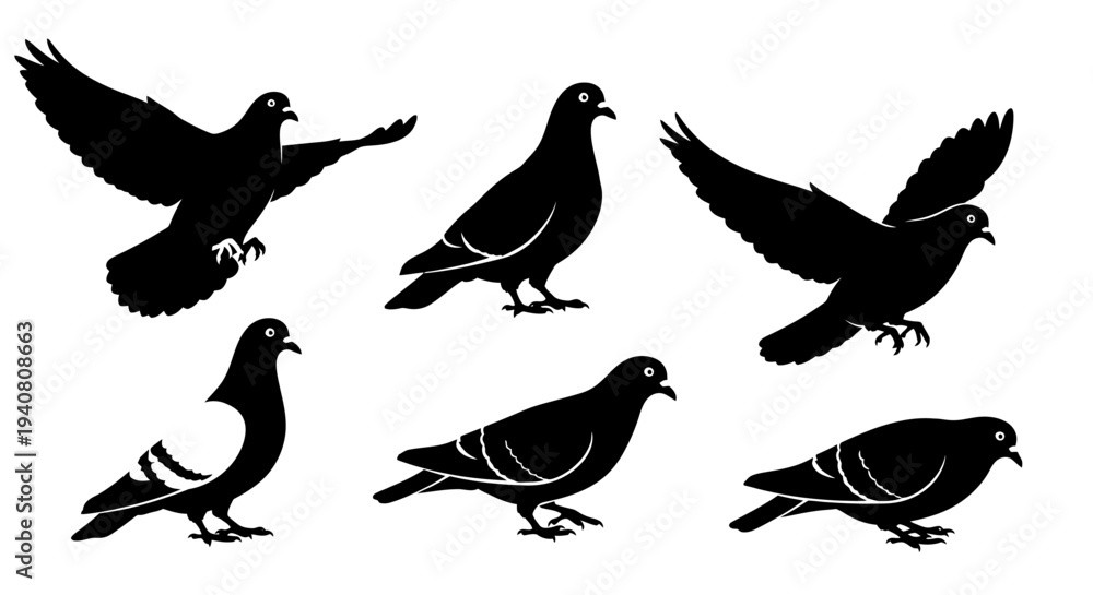 Fototapeta premium Pigeon Silhouettes: Diverse Poses of Flying and Standing Birds