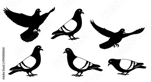 Pigeon Silhouettes: Flying and Standing Pigeons Collection