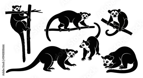 Lemur Silhouettes Collection: Various Poses on White Background