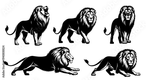Majestic Lion Silhouettes: Roaring, Walking, and Prowling in Dynamic Poses
