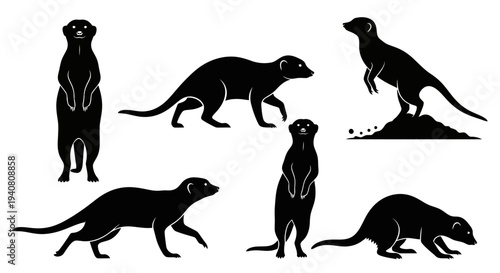Meerkat Silhouette Collection: Various Poses of African Mammals
