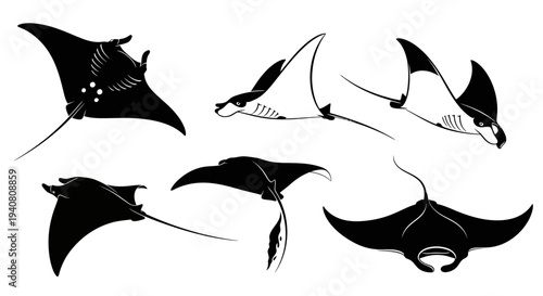 Manta Ray Silhouettes: Diverse Poses of Majestic Sea Creatures in Flight