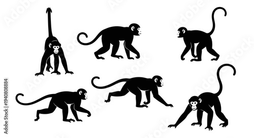 Monkeys Silhouette Collection: Dynamic Poses of Primate Animals in Black and White