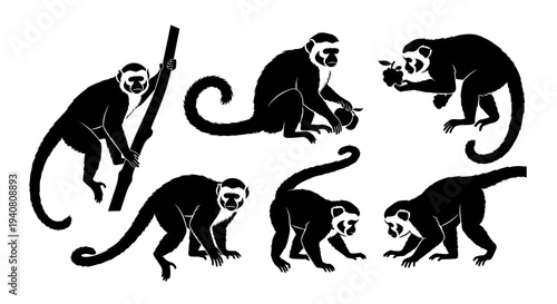 Monkeys Silhouettes Collection: Various Poses of Capuchin Monkeys in Black and White