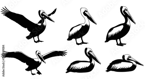 Pelican Silhouettes Collection: Flying, Standing, and Resting Poses