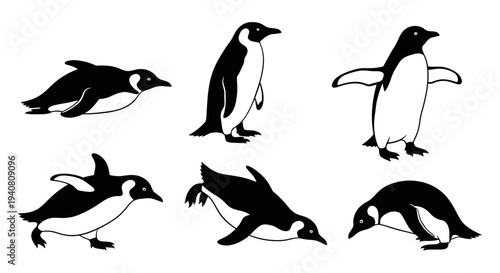 Penguin Poses Collection: A Set of Six Diverse Penguin Illustrations