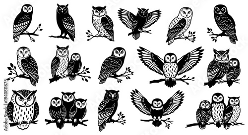 Collection of Owl Illustrations: Various Poses and Styles