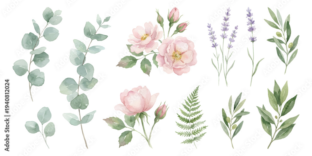 Fototapeta premium Watercolor set of floral and botanical elements, pink roses, eucalyptus branches, purple lavender sprigs, green fern fronds, and olive branches. isolated on transparent background