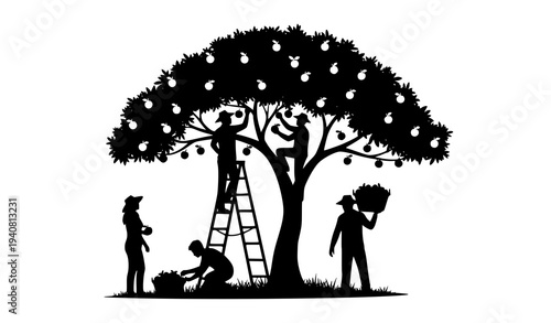 People picking fruit from tree silhouette vector harvest teamwork scene isolated on white background