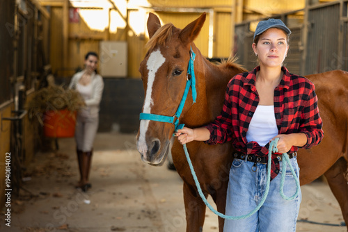 Konstfotografi Young woman leading tethered chestnut horse in stable