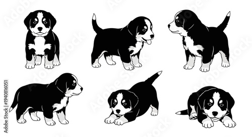 Adorable Bernese Mountain Dog Puppies Poses Collection