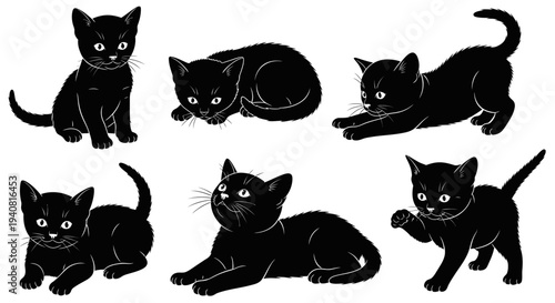 Adorable Black Kittens Poses Collection, Cute Playful Feline Friends