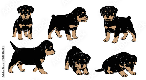 Adorable Rottweiler Puppies: A Collection of Cute Poses