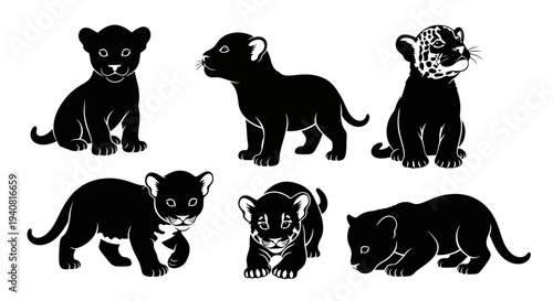 Adorable Set of Black Panther Cubs, Cute Baby Big Cats Illustrations