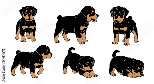 Adorable Rottweiler Puppies: Six Poses of Cute Young Dogs
