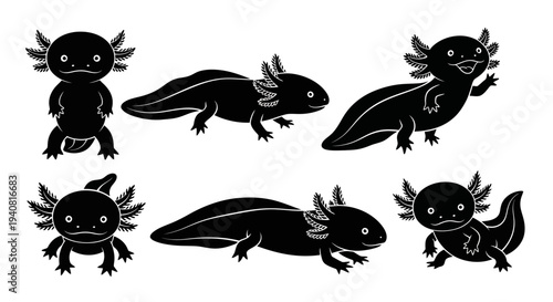 Axolotl Silhouettes: Cute Cartoon Set of Six Black and White Amphibian Illustrations