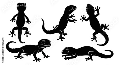 Black Gecko Silhouettes Collection: Various Poses and Actions on White Background