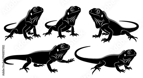 Black Iguana Silhouettes Collection: Diverse Poses of Reptile Wildlife