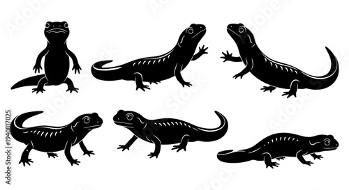 Black Salamander Silhouettes: Set of Six Poses, Vector Illustration