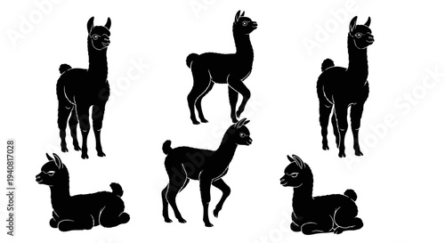 Black Llamas Silhouettes Collection: Standing, Walking, and Resting Poses
