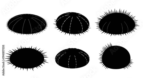 Black Sea Urchin Silhouettes, Marine Life Collection
