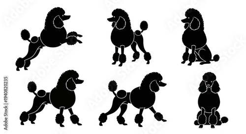 Poodle Silhouettes Collection: Various Poses of Elegant Dogs