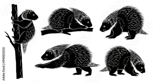 Porcupine Collection: Climbing, Sitting, Walking, and Standing Silhouettes