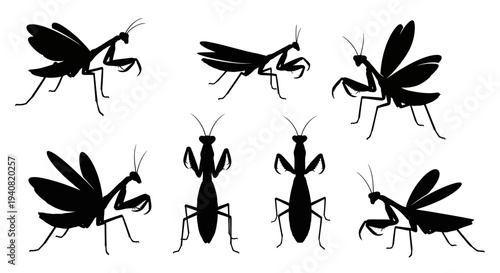 Praying Mantis Silhouette Collection: Diverse Poses and Angles