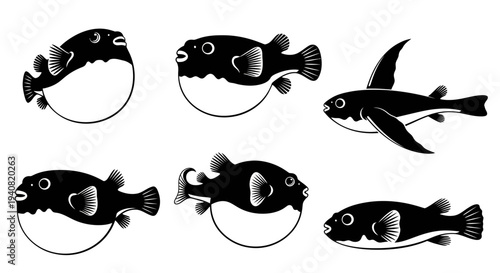 Pufferfish Collection: Round, Spiky, and Streamlined Marine Life Illustrations