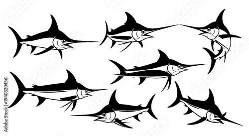 School of Marlin Fish Swimming Together