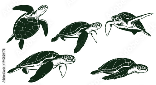 Sea Turtle Collection: Five Green Sea Turtles Swimming Gracefully in Water