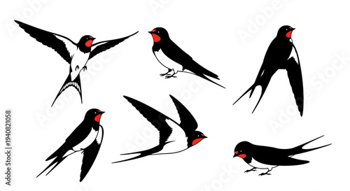 Set of Barn Swallows in Flight and Perched, Black and White Bird Illustrations