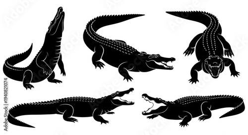 Set of Black Alligator Silhouettes in Dynamic Poses on White Background