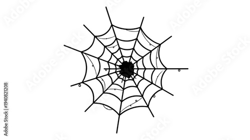 Fényképezés Hand drawn black spider web vector illustration isolated on white background