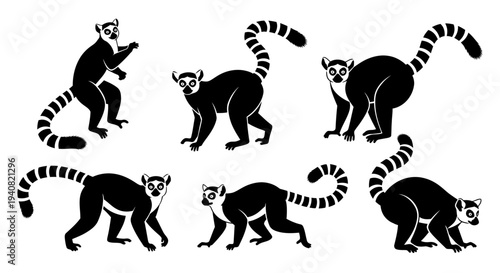 Set of Black and White Lemur Silhouettes in Various Poses on White Background