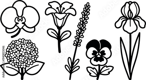 Line art botanical icon set six floral outlines orchid lily hydrangea lavender pansy iris close up white background minimal icons isolated