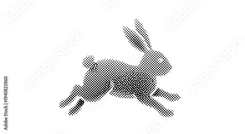 Dynamic black and white rabbit running fast in motion isolated