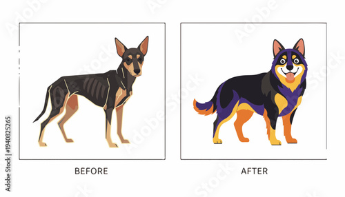 Before and After Rescue Dog Transformation Concept for Veterinary Clinic and Pet Recovery Services