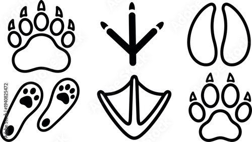 Minimalist line art animal tracks set showing bear paw, bird footprint, cloven hoof, webbed foot and barefoot prints on white