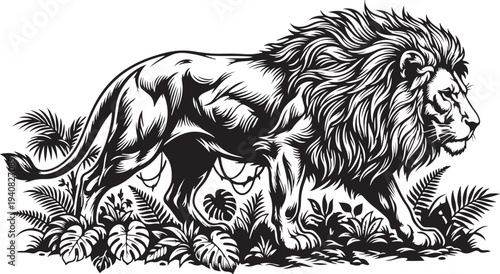 Majestic lion walking in lush jungle habitat