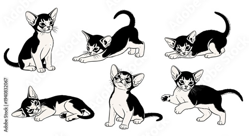 Cute Abyssinian Kittens Poses Set, Black and White Illustration