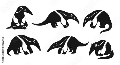 Cute Anteater Silhouettes Collection: Various Poses, Black and White Graphic Design