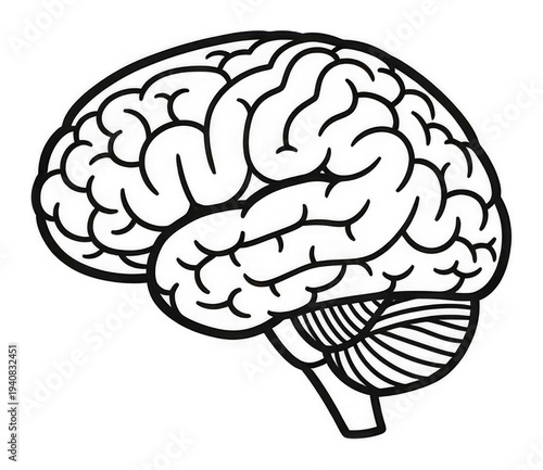 Brain icon png human brain symbol png medical brain icon png transparent background image