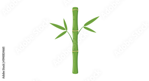 A single vibrant green bamboo stalk with distinct segments and small pointed leaves stands vertically on a clean white background.