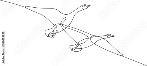Minimalist black and white continuous single line of two geese in flight line continuous line birds