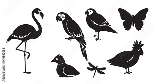 Vector illustration of various tropical birds and insects collection graphic design elements