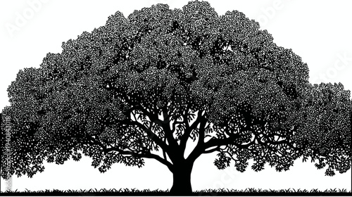 Silhouetted black tree with dense foliage and roots, set against a pristine white backdrop